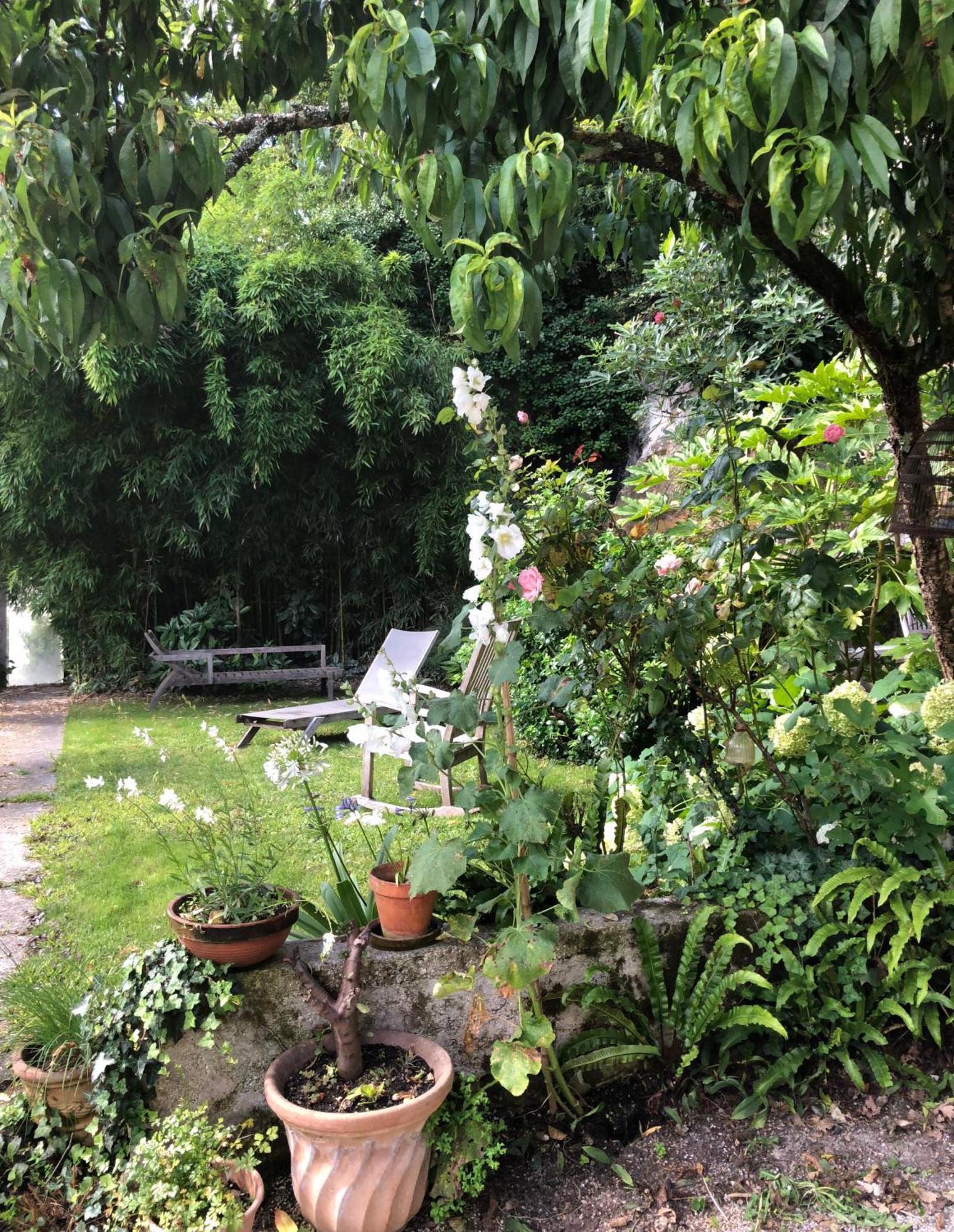 L'Heure Bleue Bed & Breakfast Saintes Dış mekan fotoğraf
